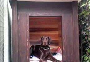 大型犬の犬小屋を限られた幅に製作してほしいとお問い合わせを頂きます。